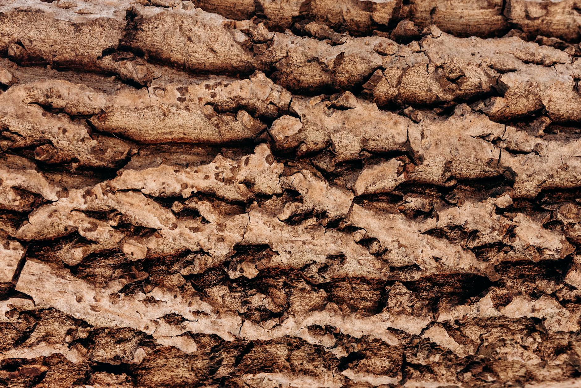 Natuurgedroogd hout